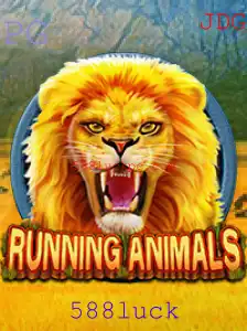 Explore o Fascinante Mundo de RunningAnimals